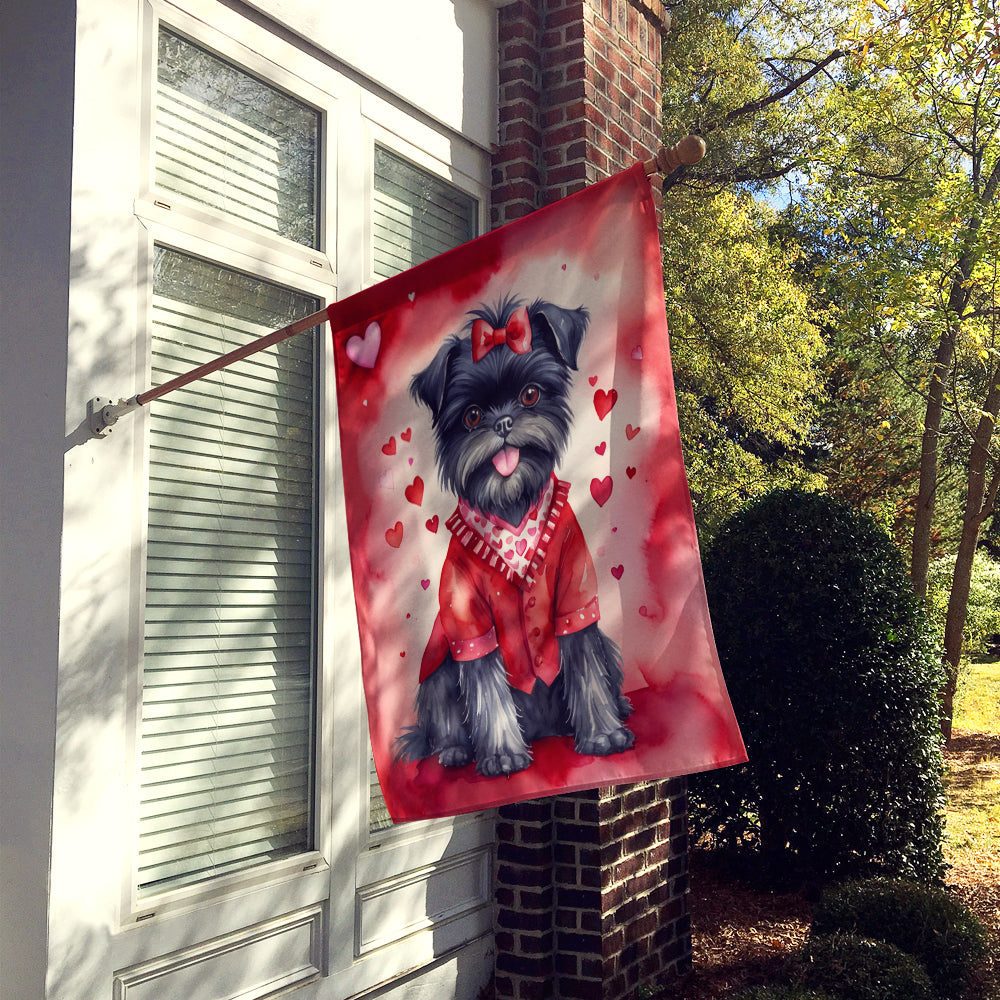 Affenpinscher My Valentine House Flag 28x40 Porch Sleeve Pole Decorative Outside Yard Banner Artwork Wall Hanging, Polyester