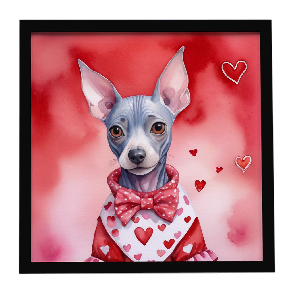 American Hairless Terrier My Valentine Framed Metal Print Bathroom, Kitchen, Office, Home Decor Wall Art Ready to Hang, Square, 8X8