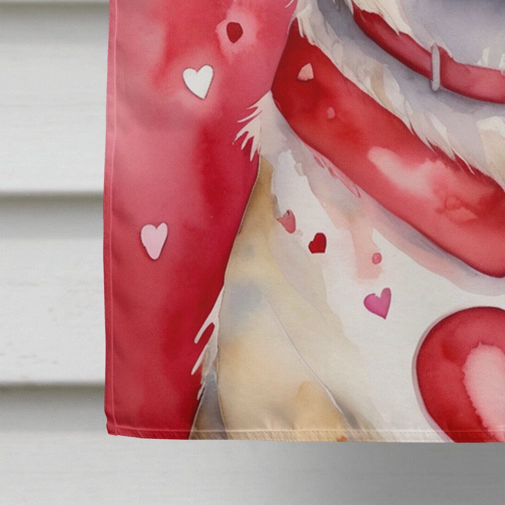 Anatolian Shepherd Dog My Valentine House Flag 28x40 Porch Sleeve Pole Decorative Outside Yard Banner Artwork Wall Hanging, Polyester
