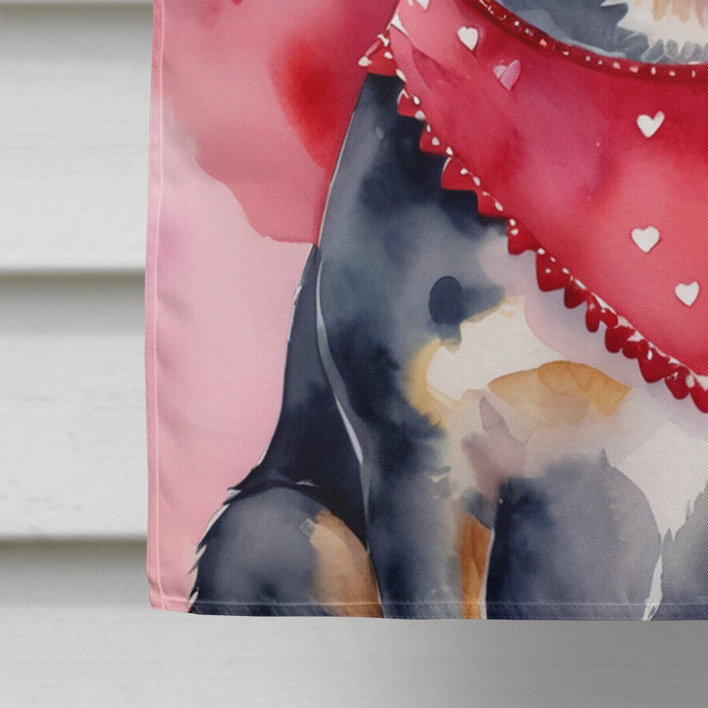Australian Cattle Dog My Valentine House Flag 28x40 Porch Sleeve Pole Decorative Outside Yard Banner Artwork Wall Hanging, Polyester