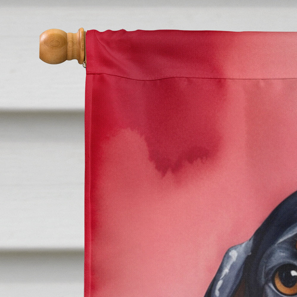 Bluetick Coonhound My Valentine House Flag 28x40 Porch Sleeve Pole Decorative Outside Yard Banner Artwork Wall Hanging, Polyester