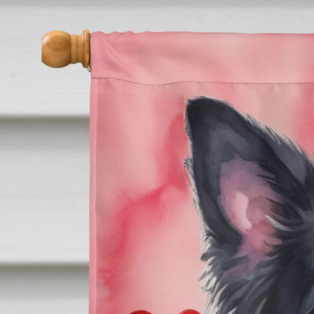 Border Collie My Valentine House Flag 28x40 Porch Sleeve Pole Decorative Outside Yard Banner Artwork Wall Hanging, Polyester