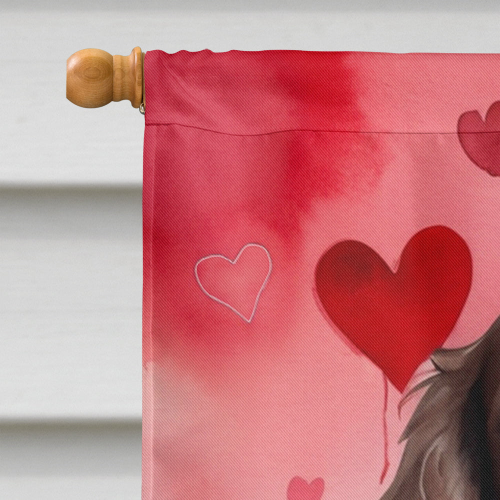 Boykin Spaniel My Valentine House Flag 28x40 Porch Sleeve Pole Decorative Outside Yard Banner Artwork Wall Hanging, Polyester