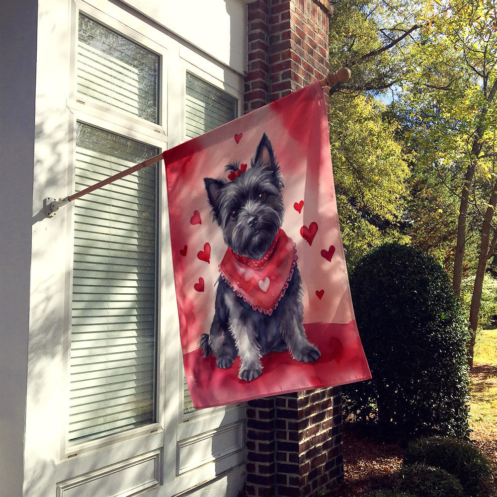 Cairn Terrier My Valentine House Flag 28x40 Porch Sleeve Pole Decorative Outside Yard Banner Artwork Wall Hanging, Polyester