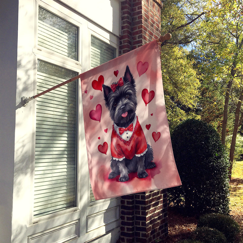 Cairn Terrier My Valentine House Flag 28x40 Porch Sleeve Pole Decorative Outside Yard Banner Artwork Wall Hanging, Polyester