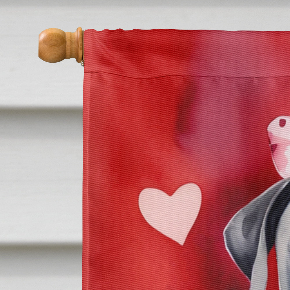 Cane Corso My Valentine House Flag 28x40 Porch Sleeve Pole Decorative Outside Yard Banner Artwork Wall Hanging, Polyester