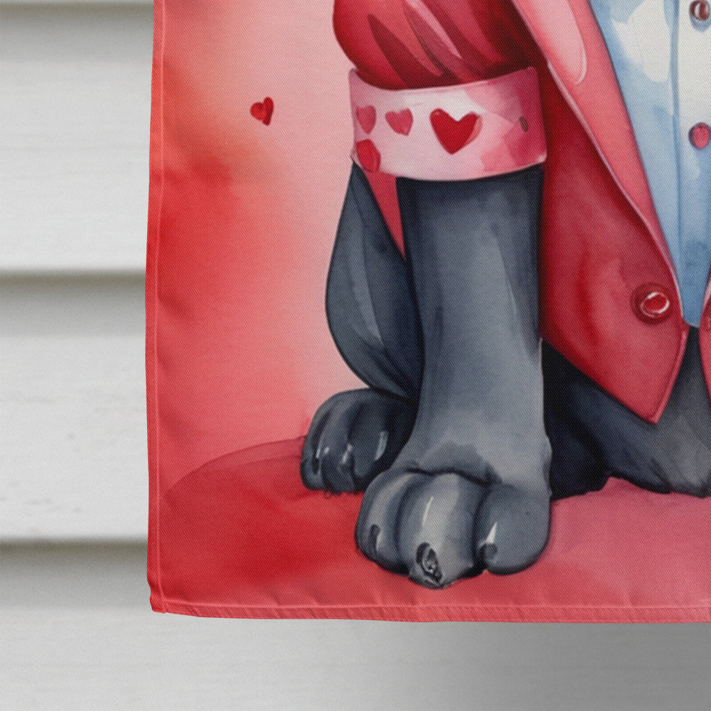 Cane Corso My Valentine House Flag 28x40 Porch Sleeve Pole Decorative Outside Yard Banner Artwork Wall Hanging, Polyester