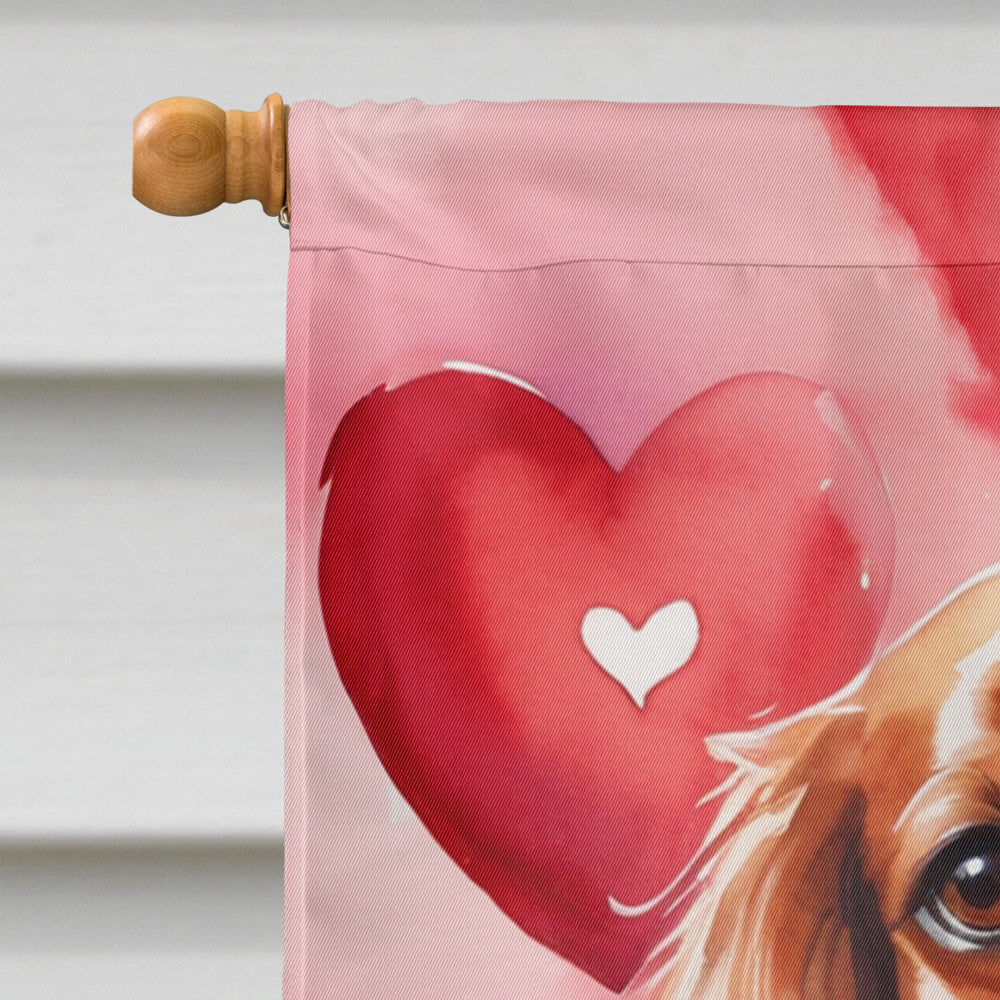 Cavalier Spaniel My Valentine House Flag 28x40 Porch Sleeve Pole Decorative Outside Yard Banner Artwork Wall Hanging, Polyester