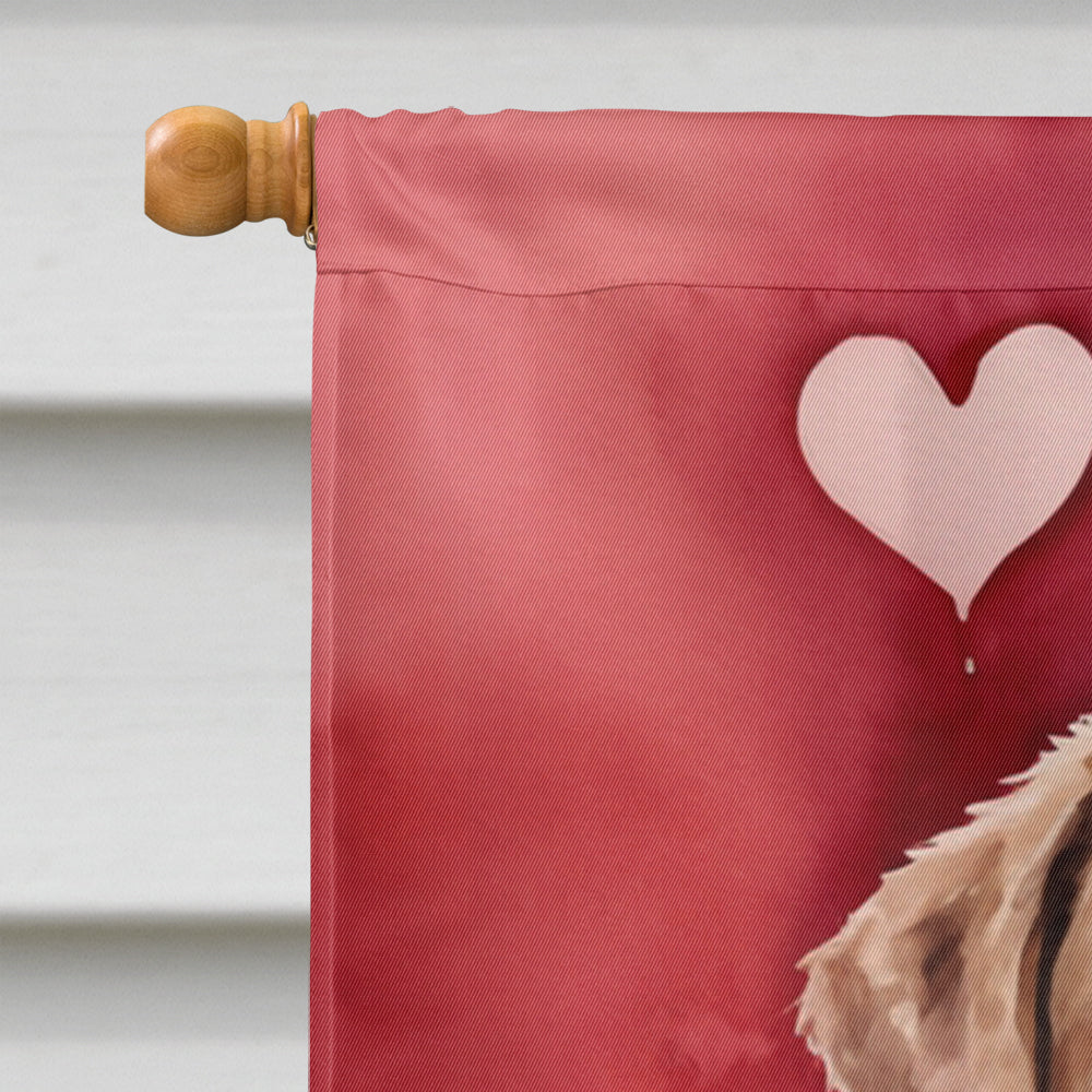 Chesapeake Bay Retriever My Valentine House Flag 28x40 Porch Sleeve Pole Decorative Outside Yard Banner Artwork Wall Hanging, Polyester