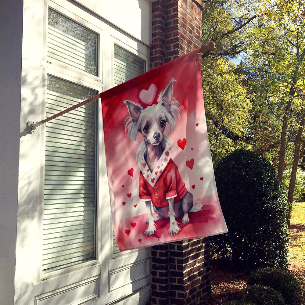 Chinese Crested My Valentine House Flag 28x40 Porch Sleeve Pole Decorative Outside Yard Banner Artwork Wall Hanging, Polyester