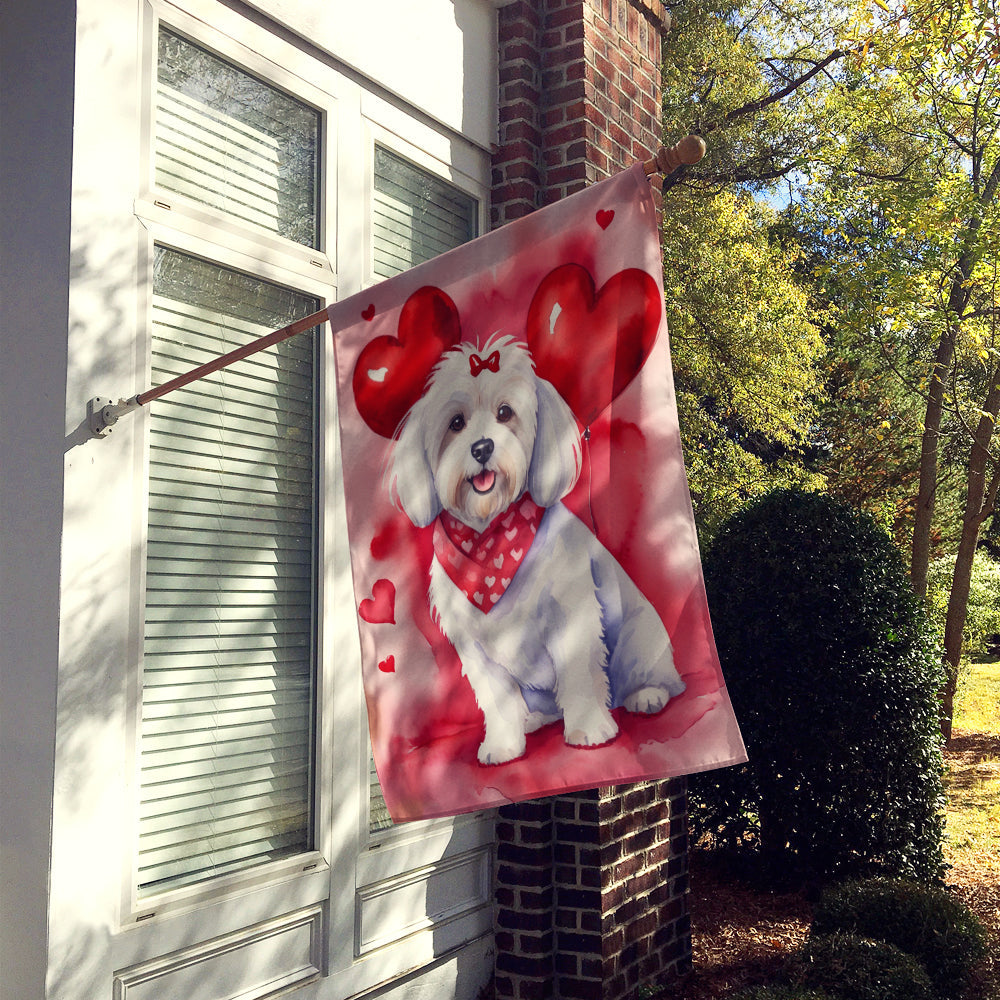 Coton de Tulear My Valentine House Flag 28x40 Porch Sleeve Pole Decorative Outside Yard Banner Artwork Wall Hanging, Polyester