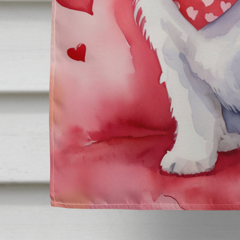Coton de Tulear My Valentine House Flag 28x40 Porch Sleeve Pole Decorative Outside Yard Banner Artwork Wall Hanging, Polyester