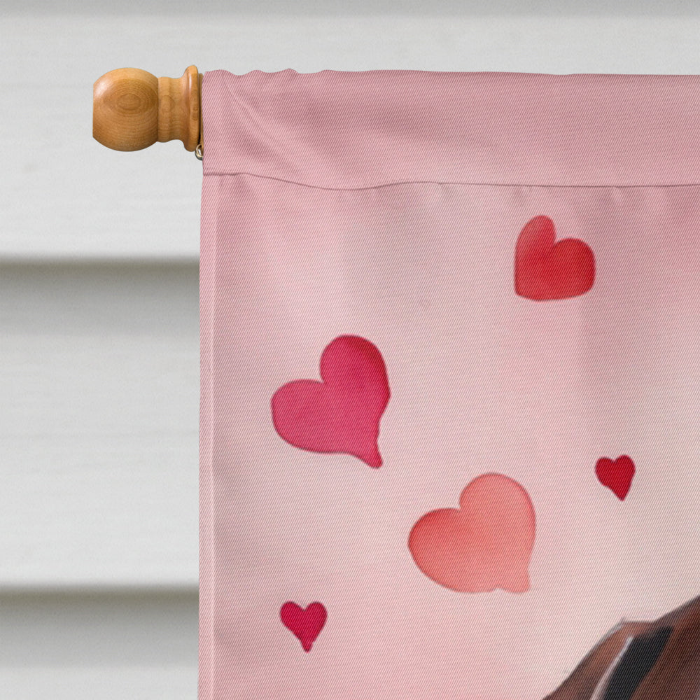 German Shorthaired Pointer My Valentine House Flag 28x40 Porch Sleeve Pole Decorative Outside Yard Banner Artwork Wall Hanging, Polyester