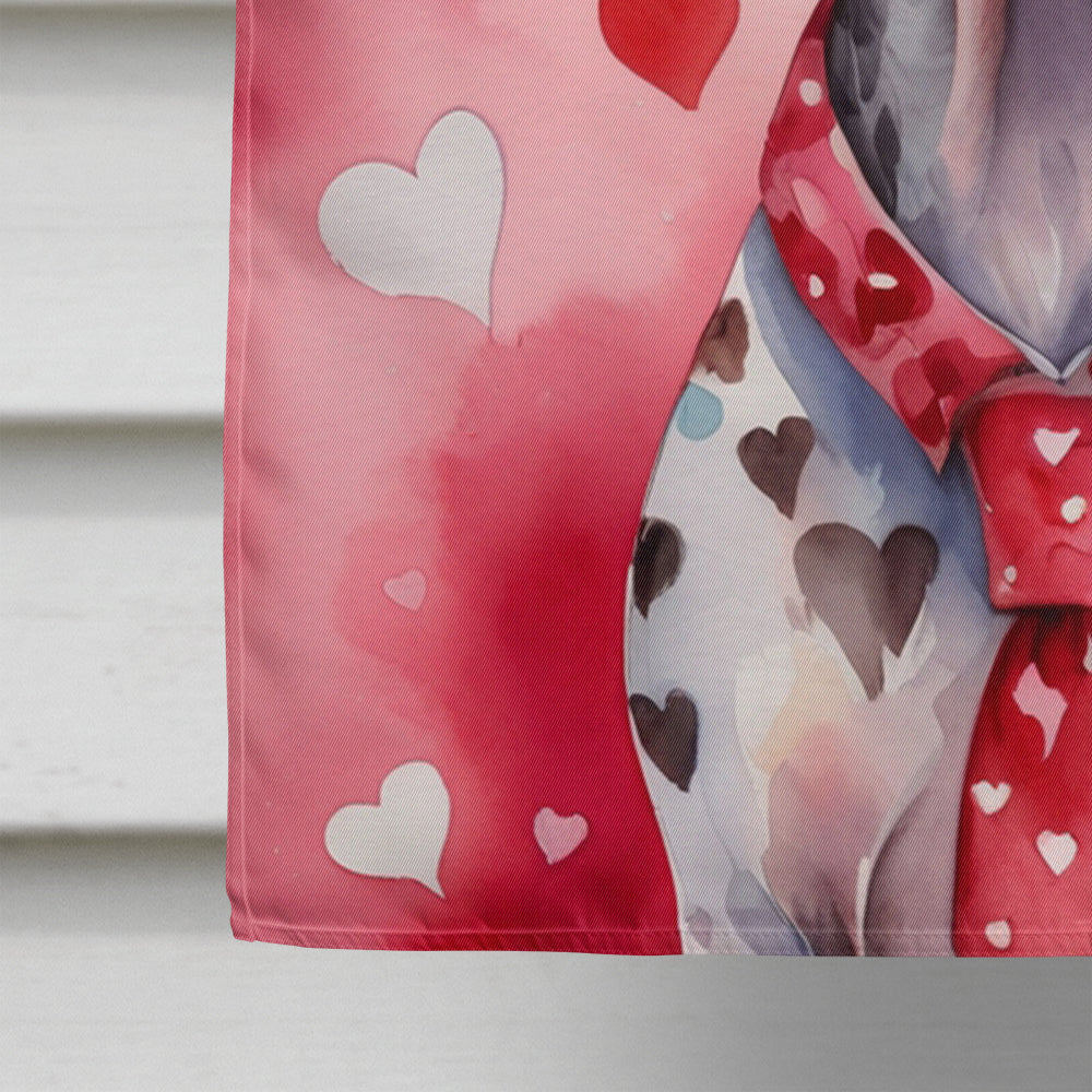German Shorthaired Pointer My Valentine House Flag 28x40 Porch Sleeve Pole Decorative Outside Yard Banner Artwork Wall Hanging, Polyester