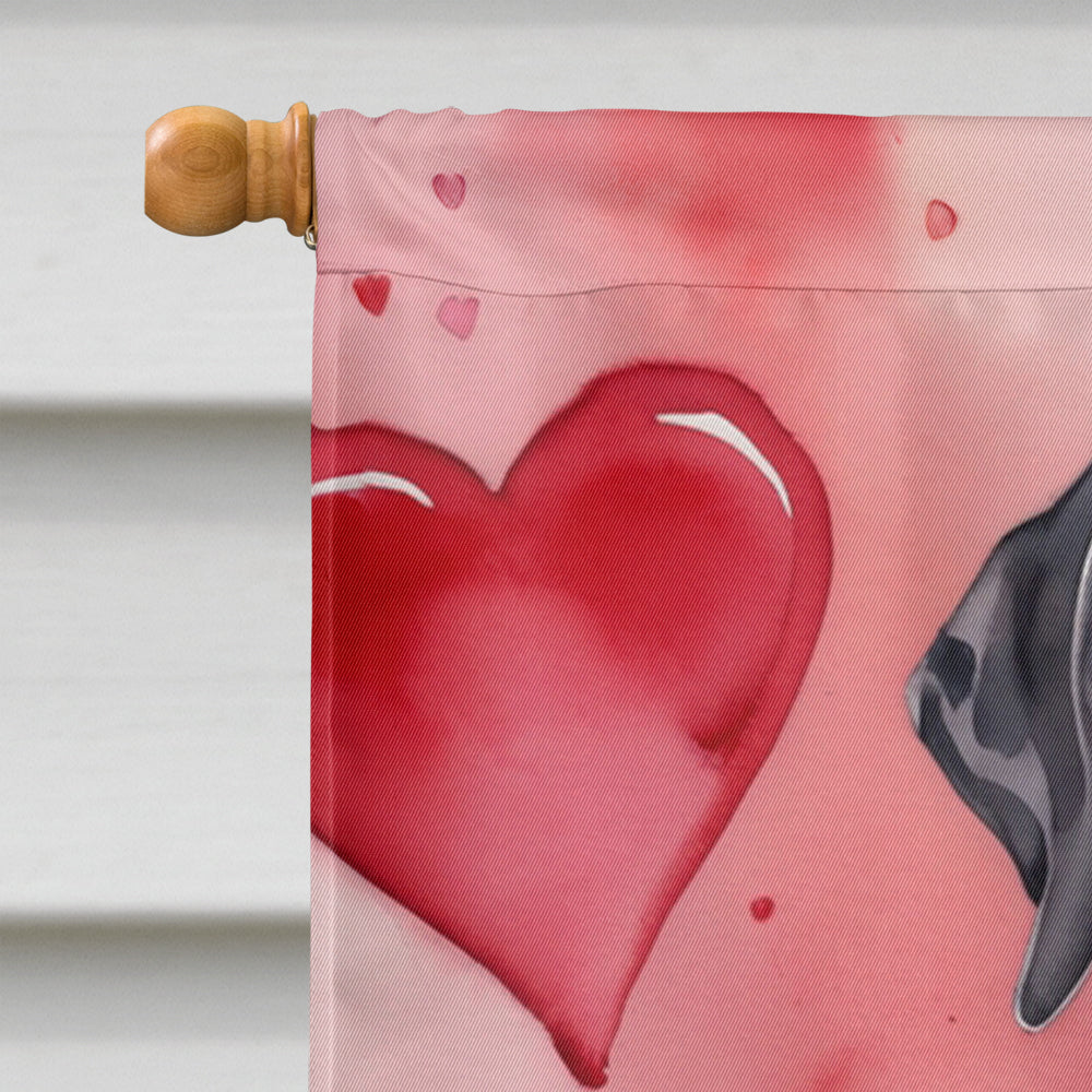 Great Dane My Valentine House Flag 28x40 Porch Sleeve Pole Decorative Outside Yard Banner Artwork Wall Hanging, Polyester