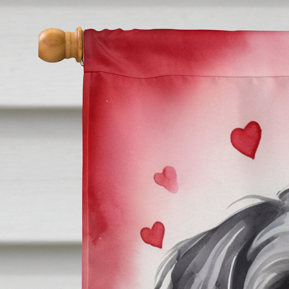 Havanese My Valentine House Flag 28x40 Porch Sleeve Pole Decorative Outside Yard Banner Artwork Wall Hanging, Polyester