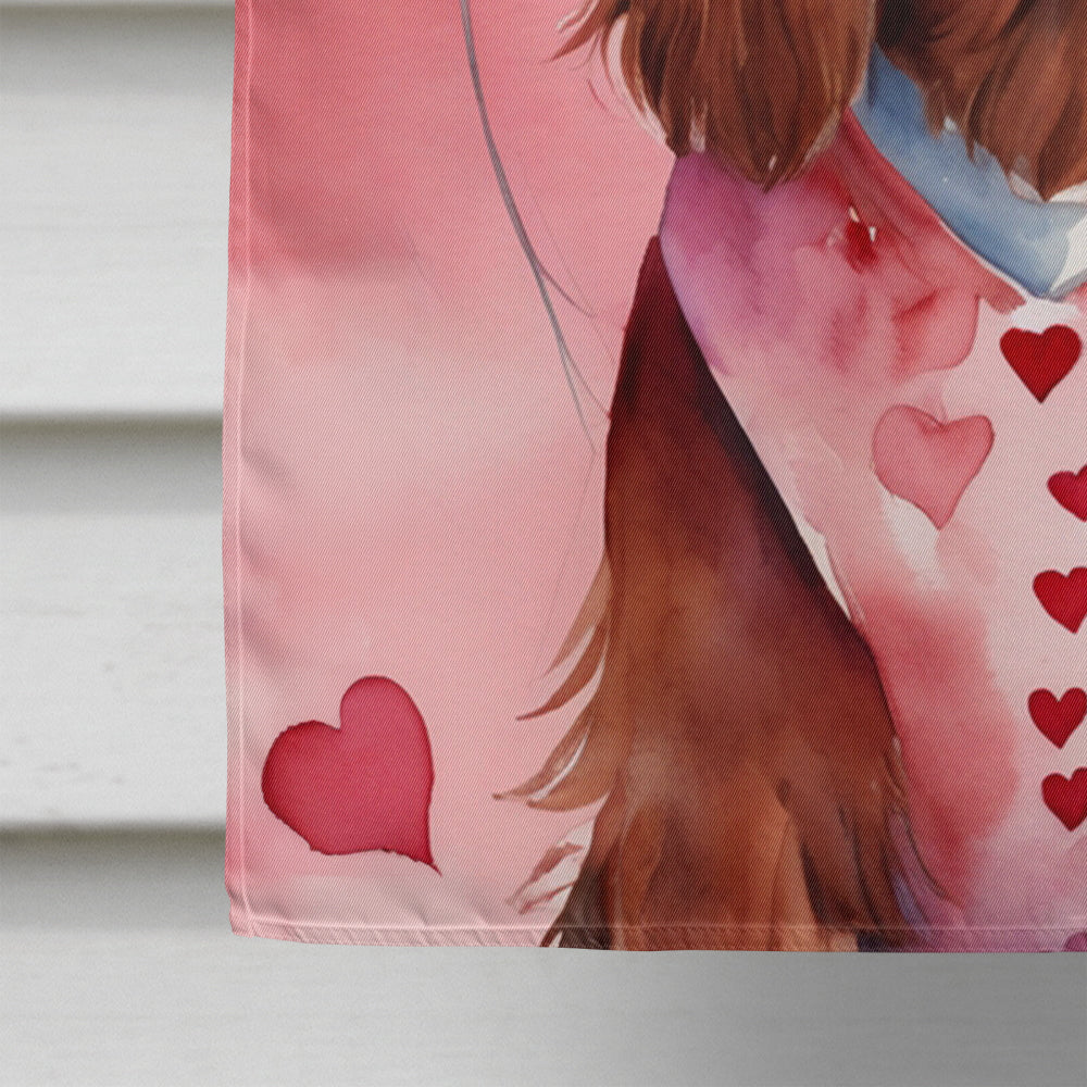 Irish Setter My Valentine House Flag 28x40 Porch Sleeve Pole Decorative Outside Yard Banner Artwork Wall Hanging, Polyester