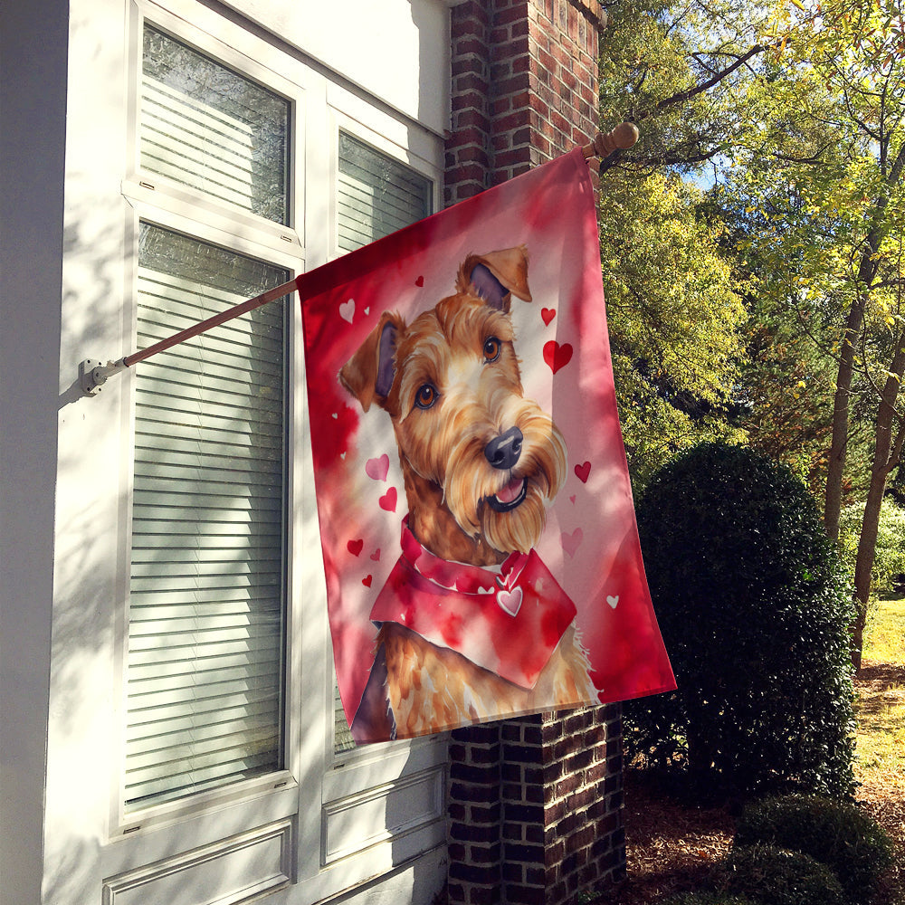 Irish Terrier My Valentine House Flag 28x40 Porch Sleeve Pole Decorative Outside Yard Banner Artwork Wall Hanging, Polyester