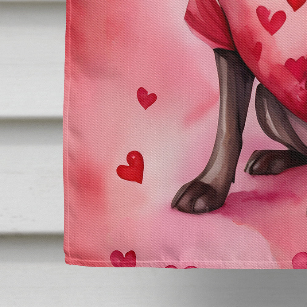 Chocolate Labrador Retriever My Valentine House Flag 28x40 Porch Sleeve Pole Decorative Outside Yard Banner Artwork Wall Hanging, Polyester