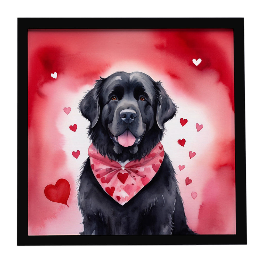 Newfoundland My Valentine Framed Metal Print Bathroom, Kitchen, Office, Home Decor Wall Art Ready to Hang, Square, 8X8