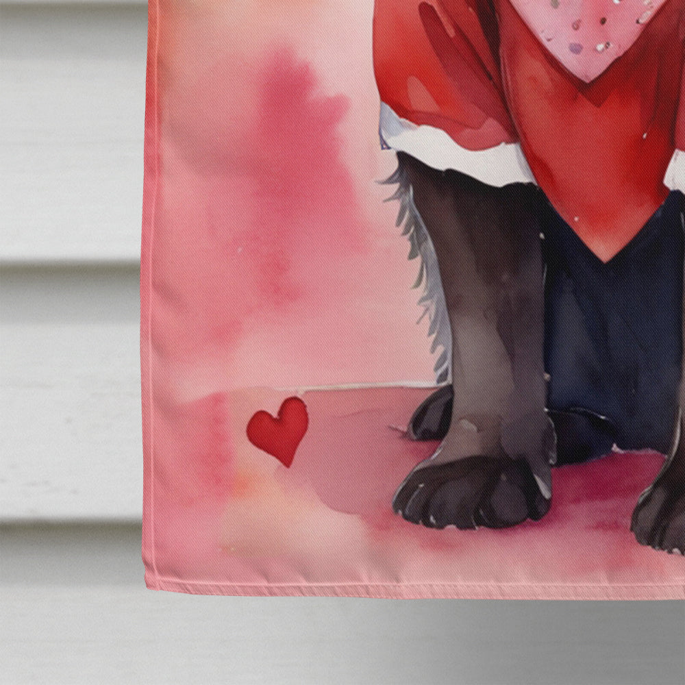 Newfoundland My Valentine House Flag 28x40 Porch Sleeve Pole Decorative Outside Yard Banner Artwork Wall Hanging, Polyester