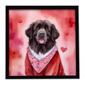 Newfoundland My Valentine Framed Metal Print Bathroom, Kitchen, Office, Home Decor Wall Art Ready to Hang, Square, 8X8