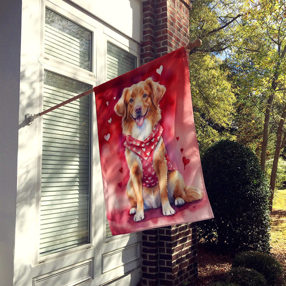 Nova Scotia Duck Tolling Retriever My Valentine House Flag 28x40 Porch Sleeve Pole Decorative Outside Yard Banner Artwork Wall Hanging, Polyester