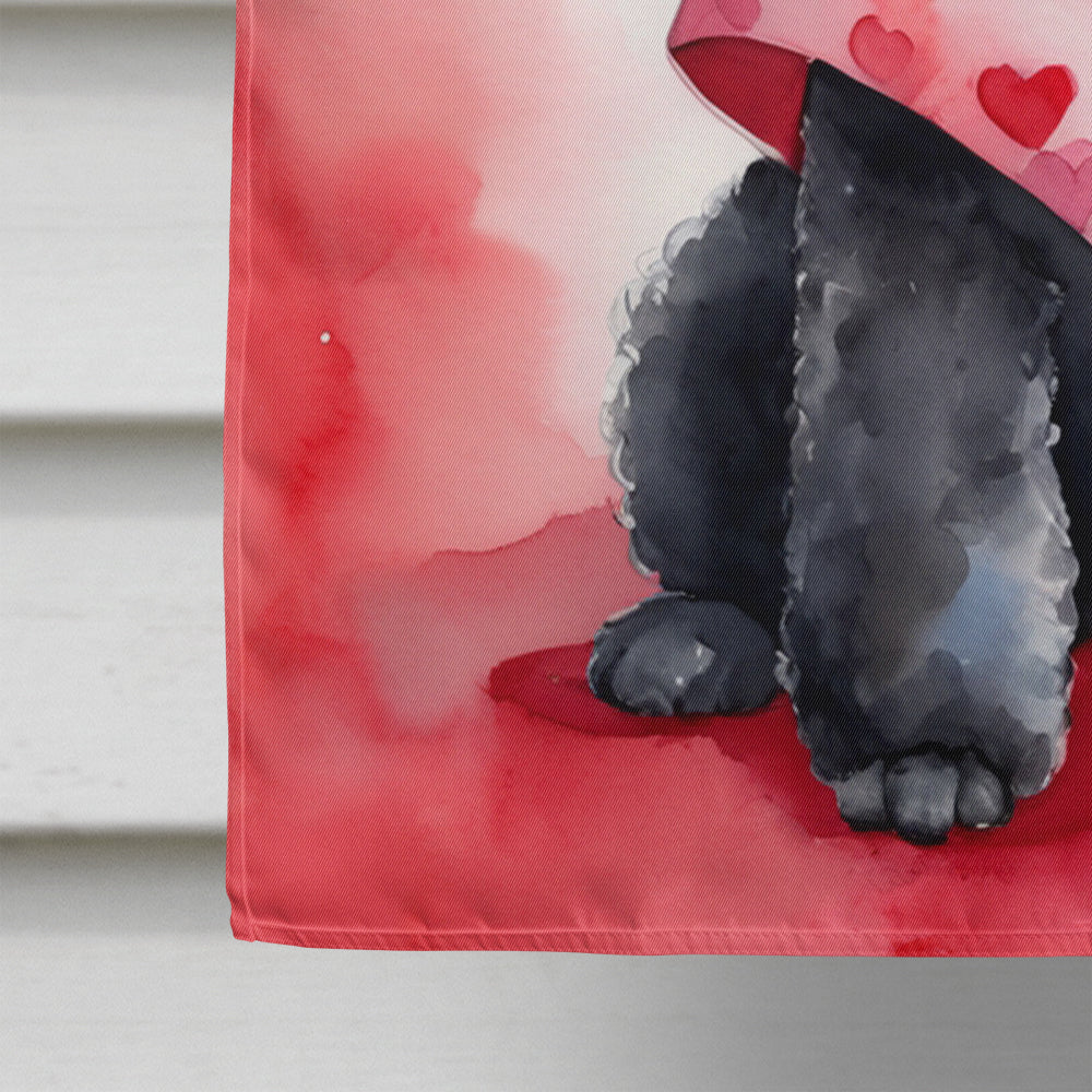 Black Poodle My Valentine House Flag 28x40 Porch Sleeve Pole Decorative Outside Yard Banner Artwork Wall Hanging, Polyester
