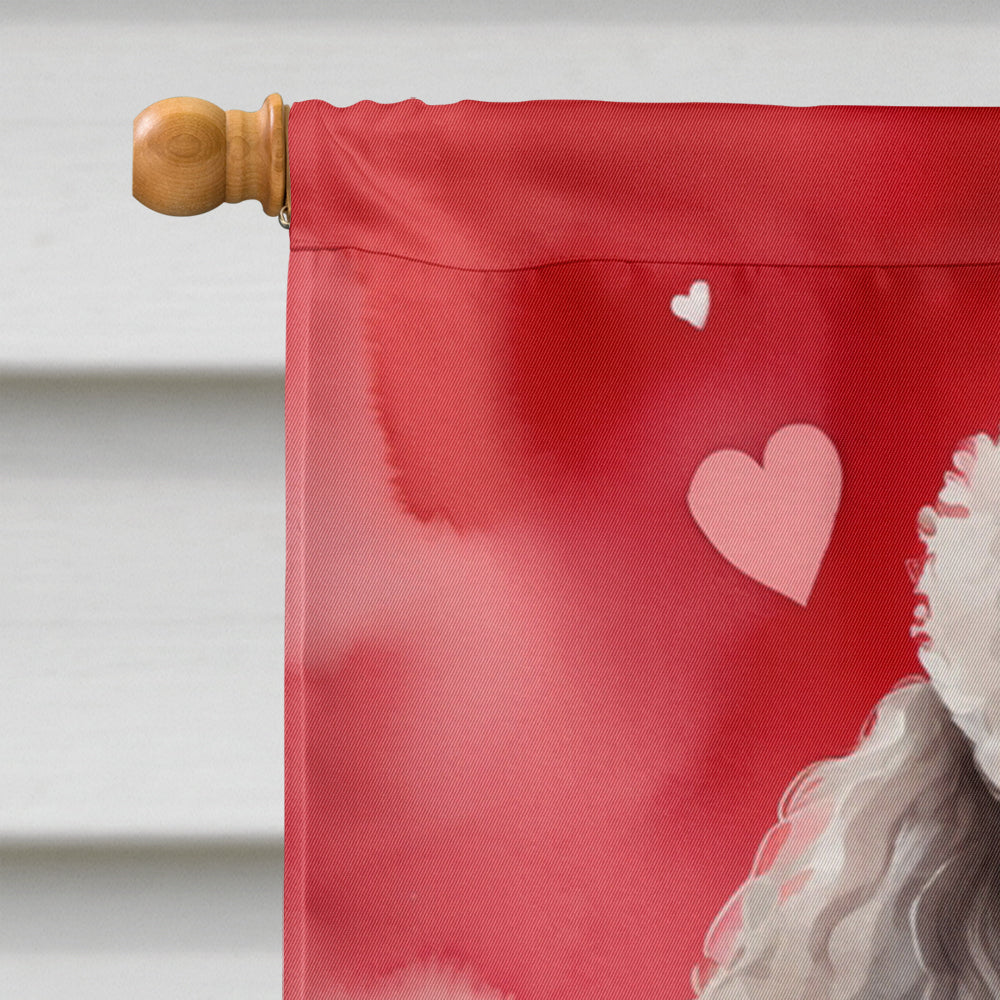 Chocolate Poodle My Valentine House Flag 28x40 Porch Sleeve Pole Decorative Outside Yard Banner Artwork Wall Hanging, Polyester