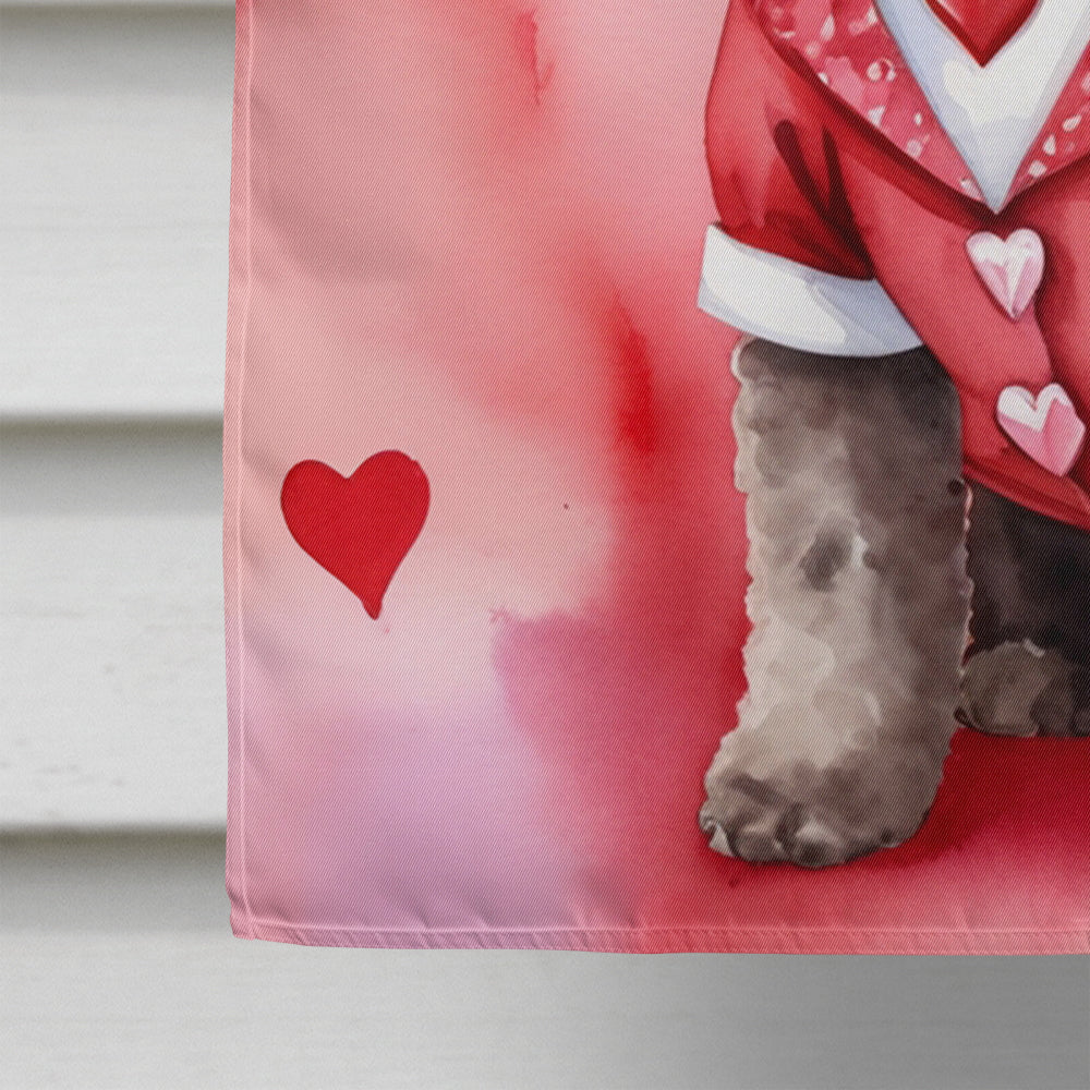 Chocolate Poodle My Valentine House Flag 28x40 Porch Sleeve Pole Decorative Outside Yard Banner Artwork Wall Hanging, Polyester