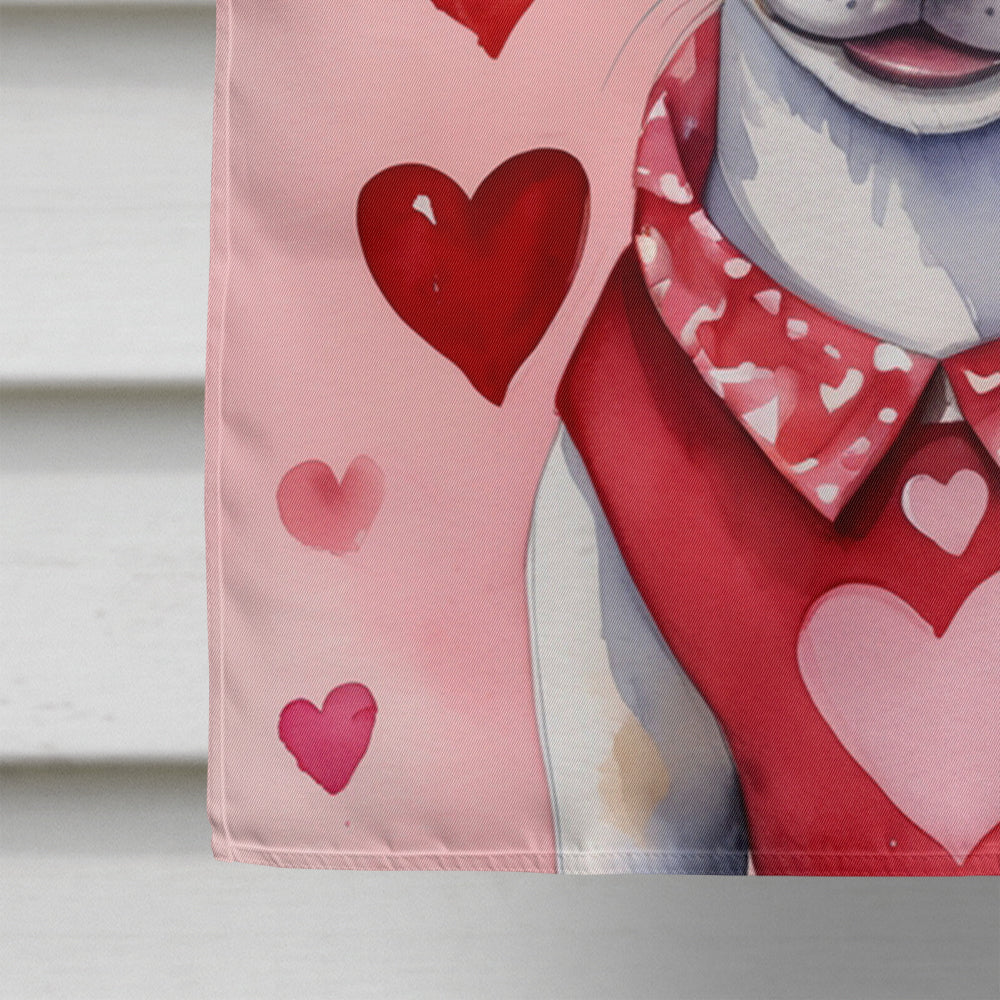 Rat Terrier My Valentine House Flag 28x40 Porch Sleeve Pole Decorative Outside Yard Banner Artwork Wall Hanging, Polyester