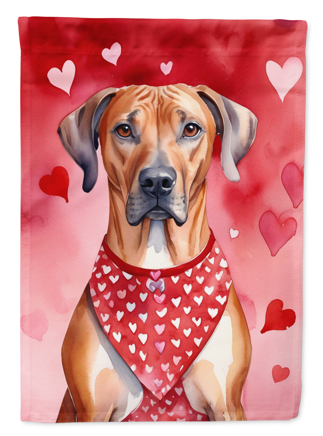 Rhodesian Ridgeback My Valentine House Flag 28x40 Porch Sleeve Pole Decorative Outside Yard Banner Artwork Wall Hanging, Polyester
