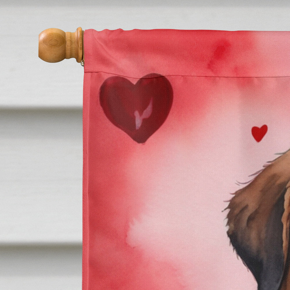 Saint Bernard My Valentine House Flag 28x40 Porch Sleeve Pole Decorative Outside Yard Banner Artwork Wall Hanging, Polyester
