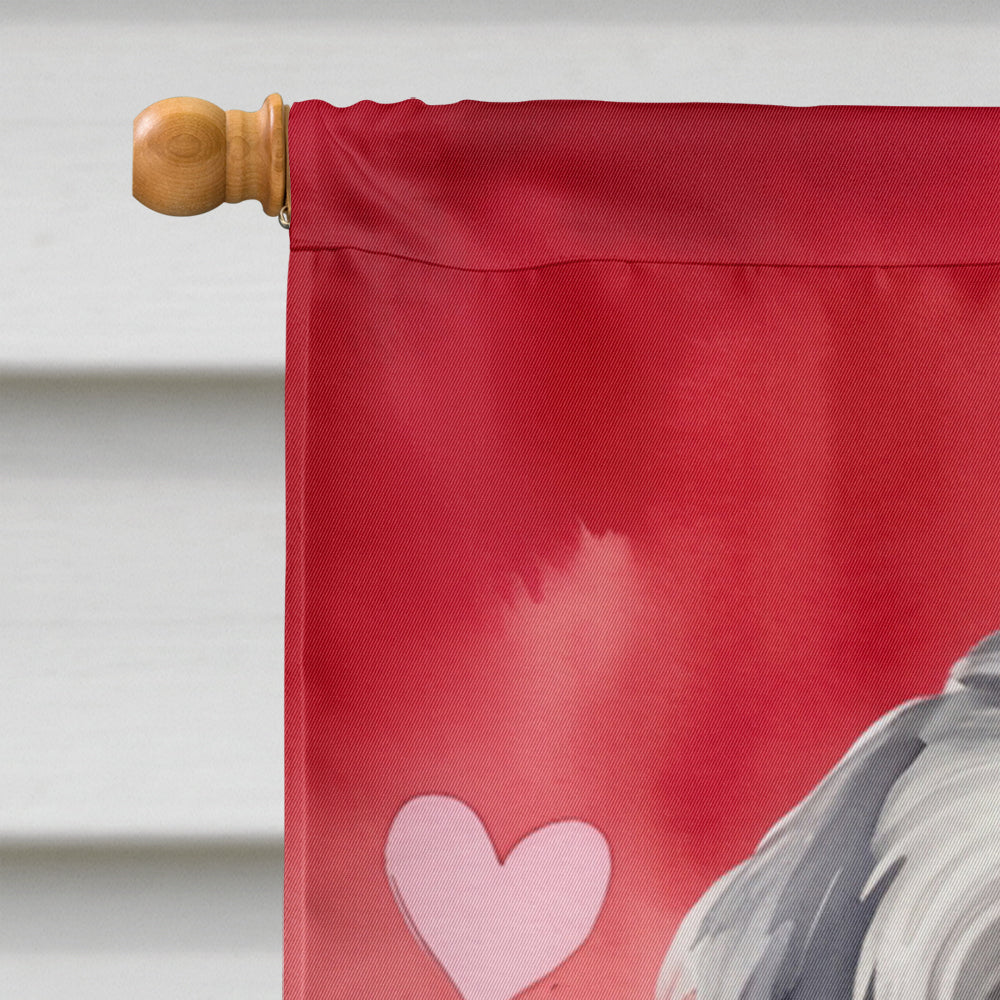 Tibetan Terrier My Valentine House Flag 28x40 Porch Sleeve Pole Decorative Outside Yard Banner Artwork Wall Hanging, Polyester