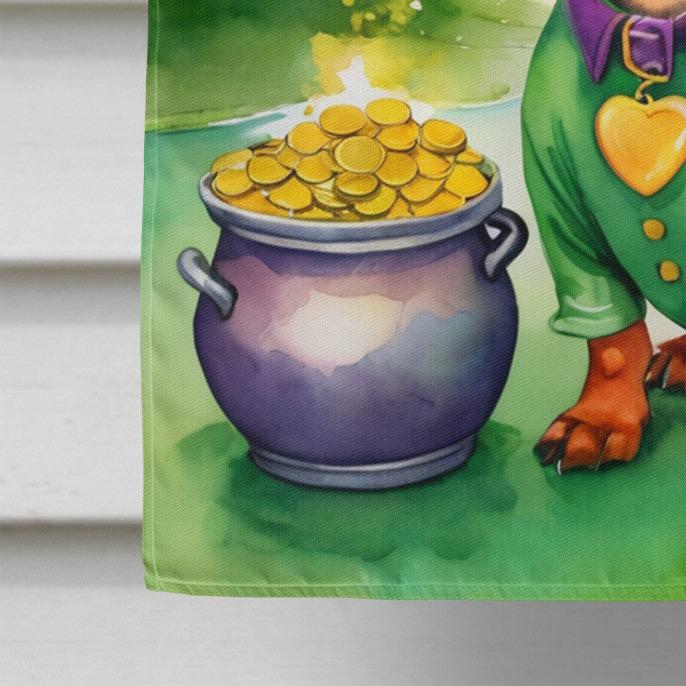 Dachshund St Patrick's Day House Flag 28x40 Porch Sleeve Pole Decorative Outside Yard Banner Artwork Wall Hanging, Polyester