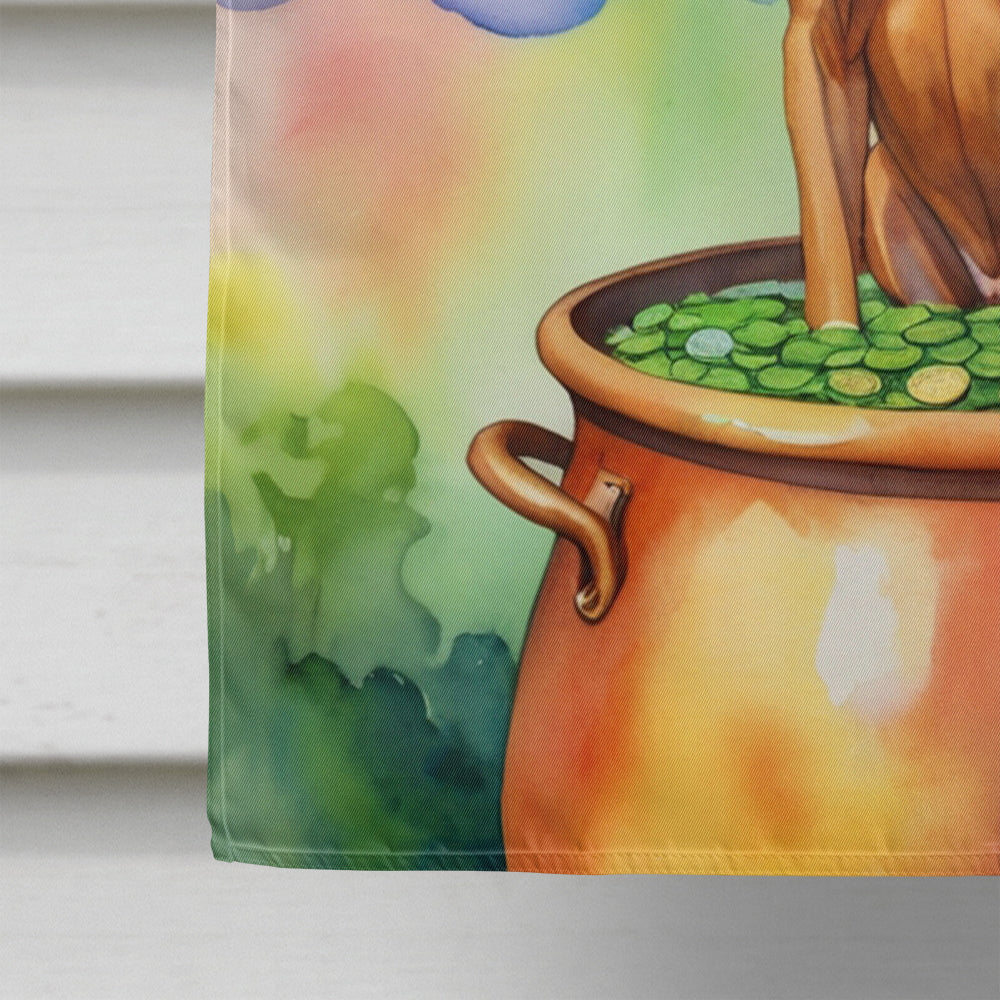 Rhodesian Ridgeback St Patrick's Day House Flag 28x40 Porch Sleeve Pole Decorative Outside Yard Banner Artwork Wall Hanging, Polyester
