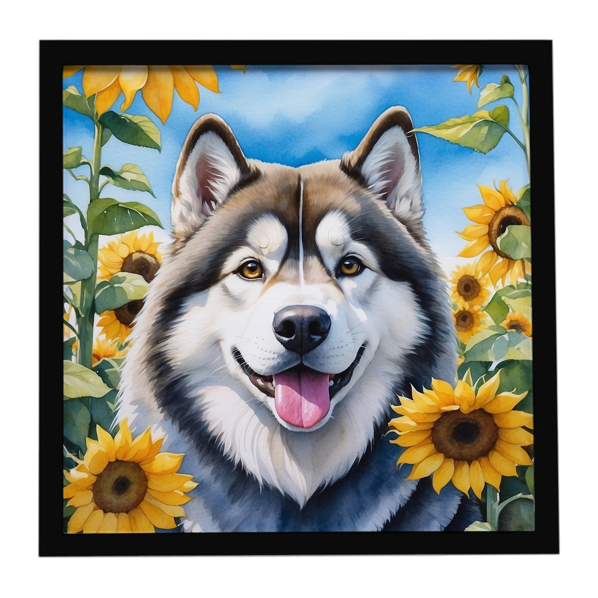 Alaskan Malamute in Sunflowers Framed Metal Print Bathroom, Kitchen, Office, Home Decor Wall Art Ready to Hang, Square, 8X8