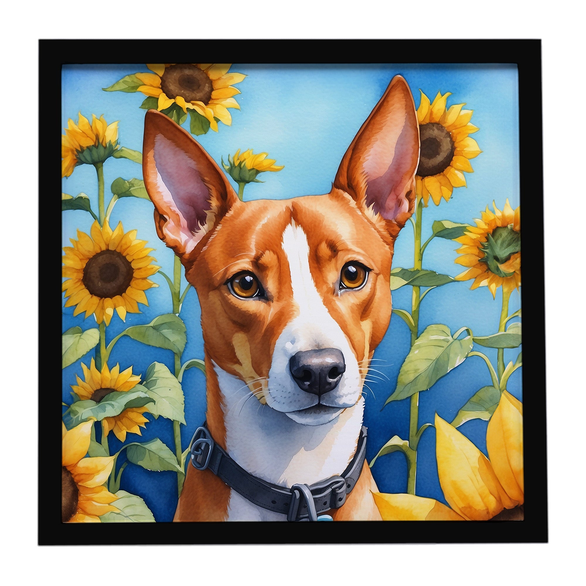 Basenji in Sunflowers Framed Metal Print Bathroom, Kitchen, Office, Home Decor Wall Art Ready to Hang, Square, 8X8