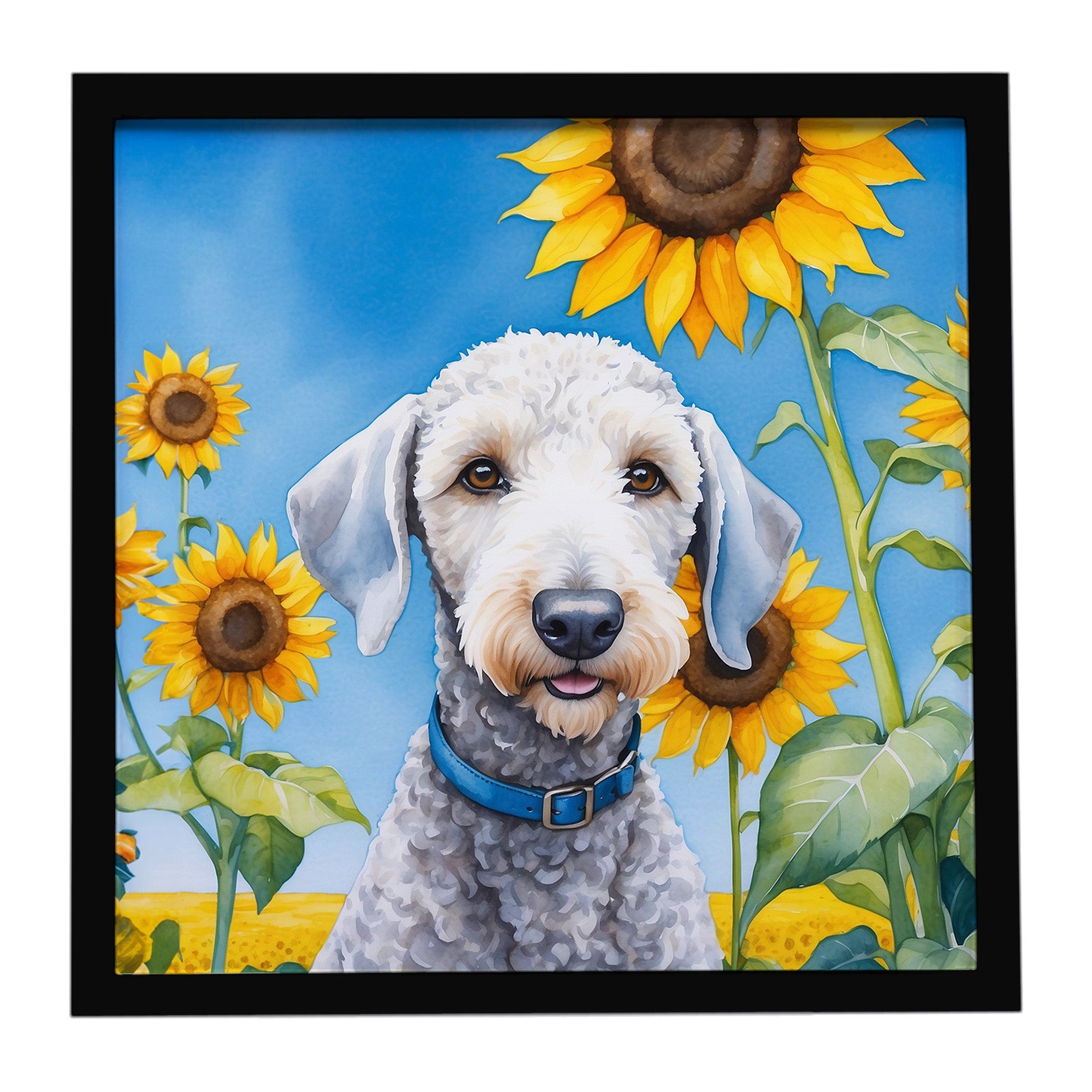 Bedlington Terrier in Sunflowers Framed Metal Print Bathroom, Kitchen, Office, Home Decor Wall Art Ready to Hang, Square, 8X8