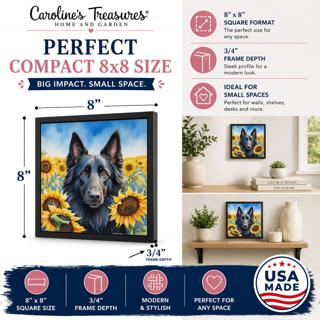 Belgian Sheepdog in Sunflowers Framed Metal Print Bathroom, Kitchen, Office, Home Decor Wall Art Ready to Hang, Square, 8X8