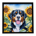 Bernese Mountain Dog in Sunflowers Framed Metal Print Bathroom, Kitchen, Office, Home Decor Wall Art Ready to Hang, Square, 8X8