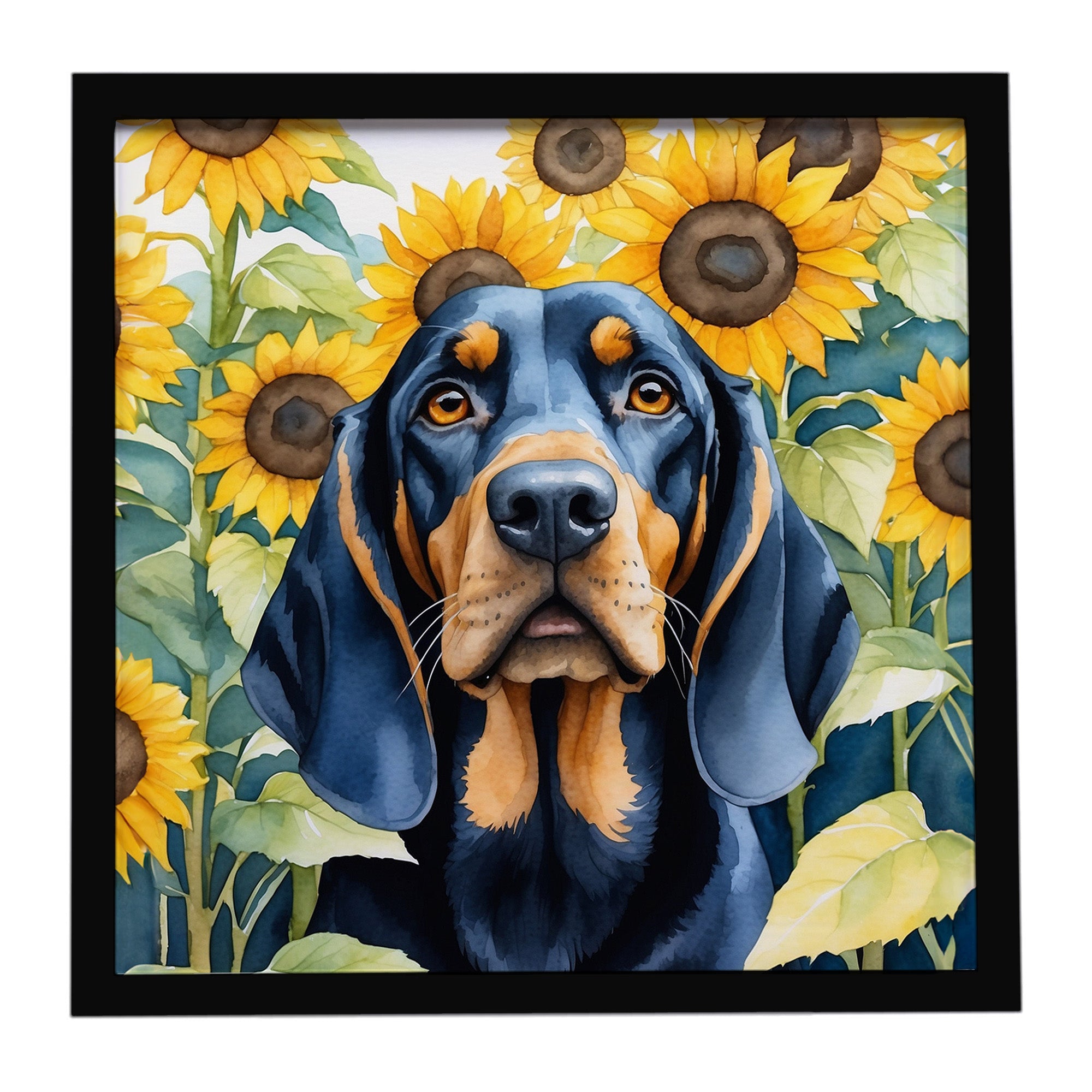 Black and Tan Coonhound in Sunflowers Framed Metal Print Bathroom, Kitchen, Office, Home Decor Wall Art Ready to Hang, Square, 8X8