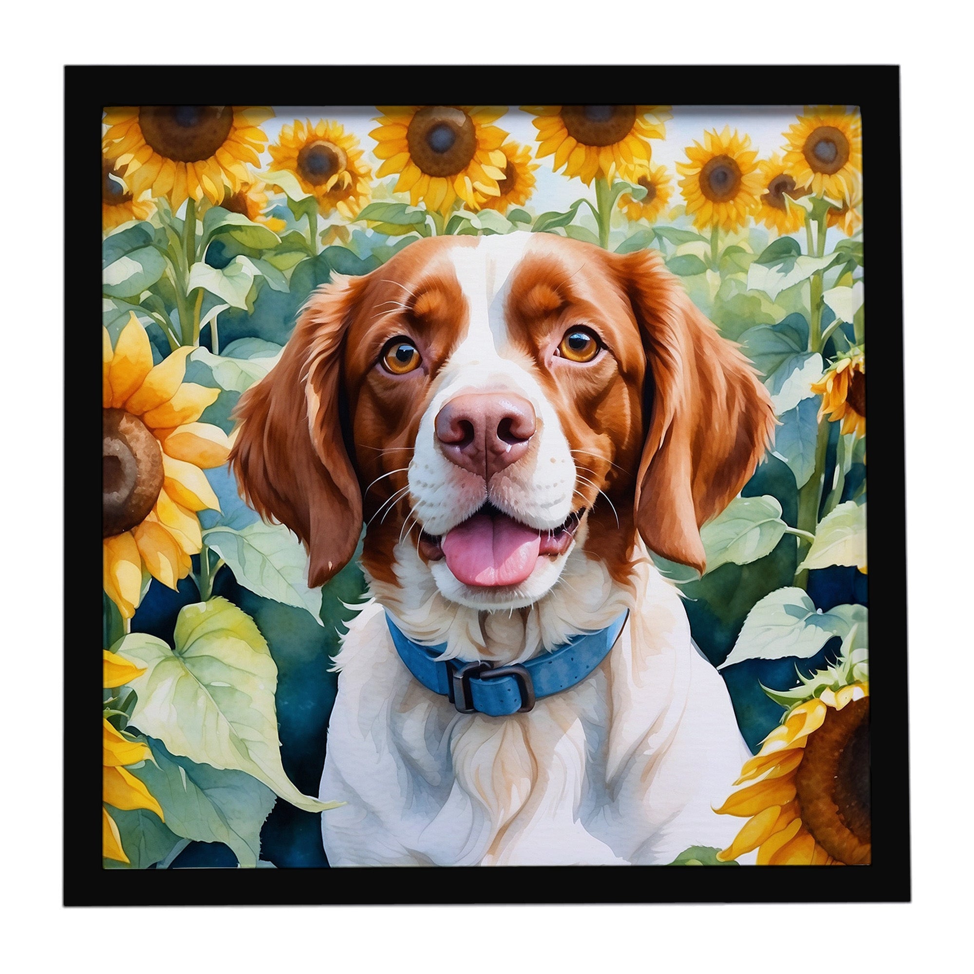 Brittany Spaniel in Sunflowers Framed Metal Print Bathroom, Kitchen, Office, Home Decor Wall Art Ready to Hang, Square, 8X8
