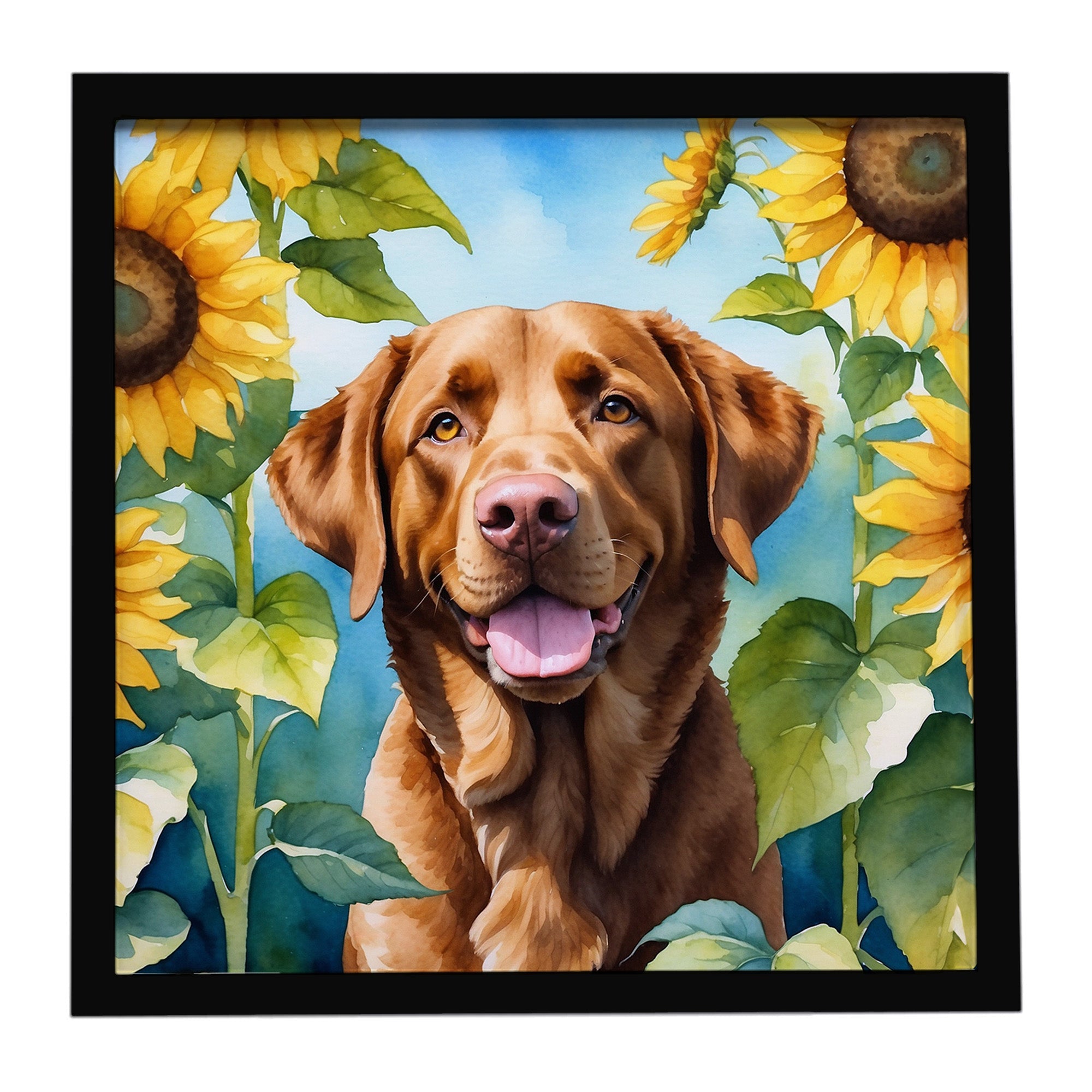 Chesapeake Bay Retriever in Sunflowers Framed Metal Print Bathroom, Kitchen, Office, Home Decor Wall Art Ready to Hang, Square, 8X8