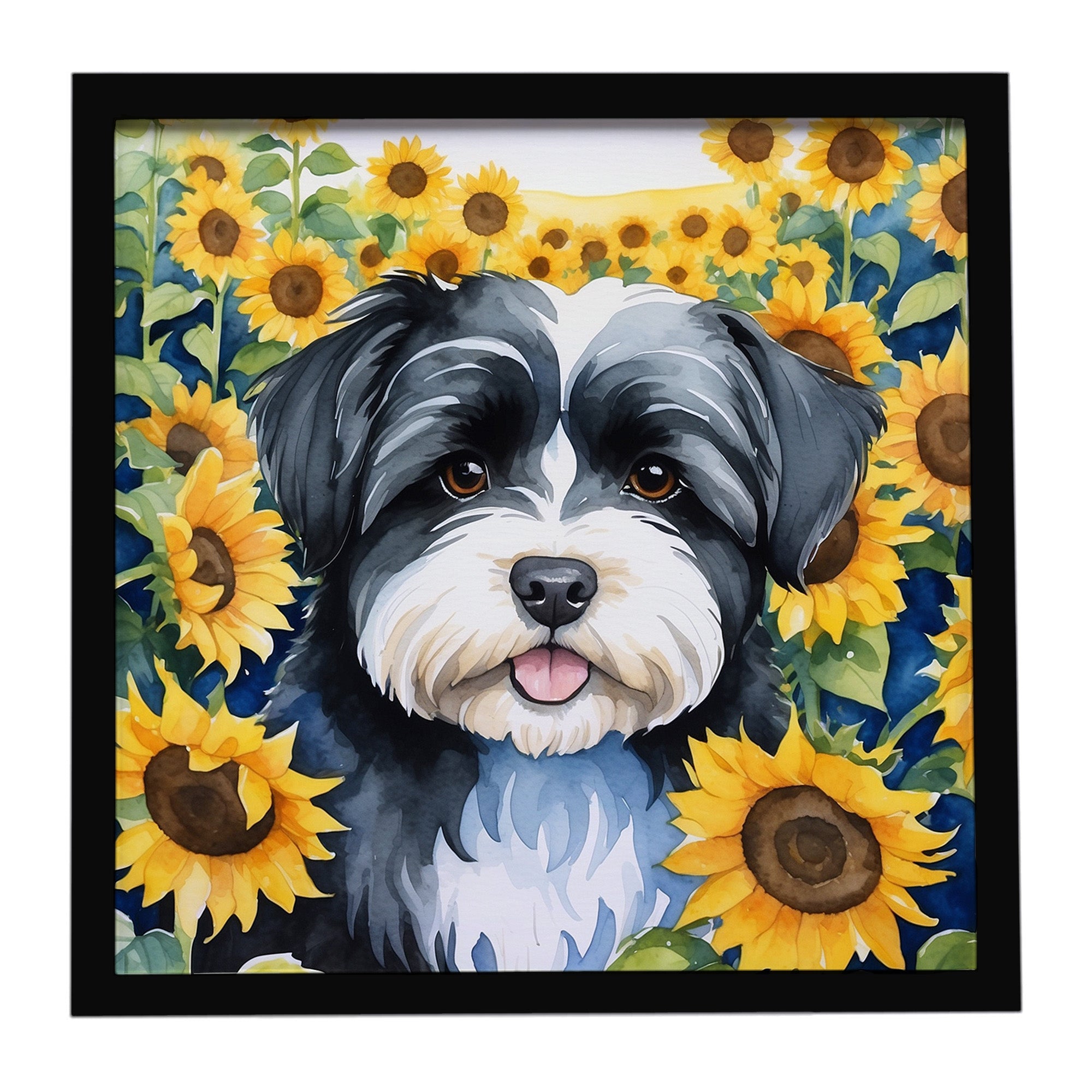Havanese in Sunflowers Framed Metal Print Bathroom, Kitchen, Office, Home Decor Wall Art Ready to Hang, Square, 8X8