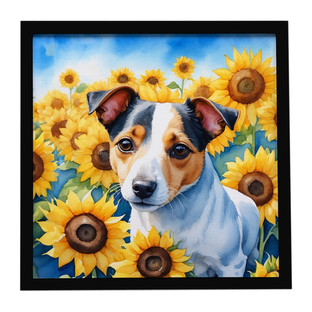 Jack Russell Terrier in Sunflowers Framed Metal Print Bathroom, Kitchen, Office, Home Decor Wall Art Ready to Hang, Square, 8X8