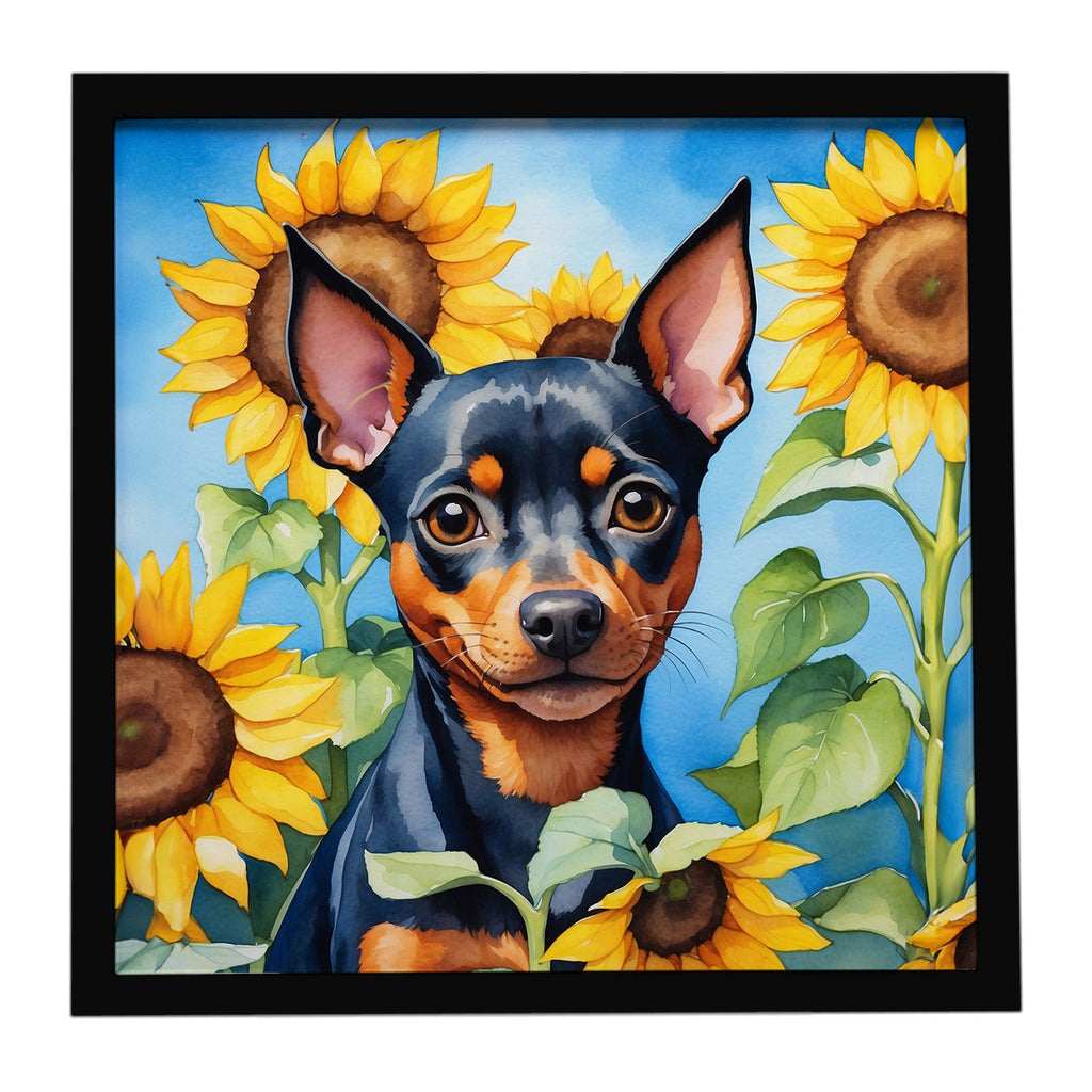 Miniature Pinscher in Sunflowers Framed Metal Print Bathroom, Kitchen, Office, Home Decor Wall Art Ready to Hang, Square, 8X8