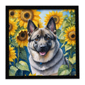 Norwegian Elkhound in Sunflowers Framed Metal Print Bathroom, Kitchen, Office, Home Decor Wall Art Ready to Hang, Square, 8X8