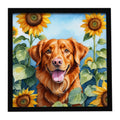 Nova Scotia Duck Toller in Sunflowers Framed Metal Print Bathroom, Kitchen, Office, Home Decor Wall Art Ready to Hang, Square, 8X8