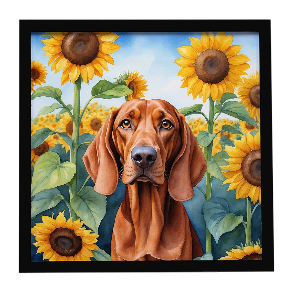 Redbone Coonhound in Sunflowers Framed Metal Print Bathroom, Kitchen, Office, Home Decor Wall Art Ready to Hang, Square, 8X8